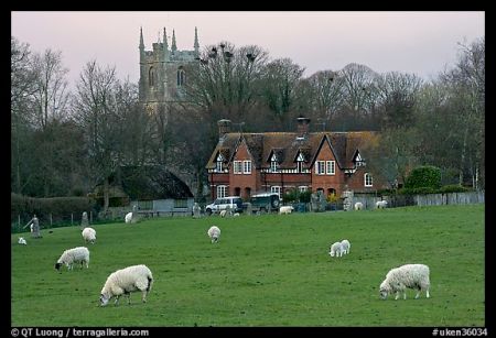 Sheep outside a church